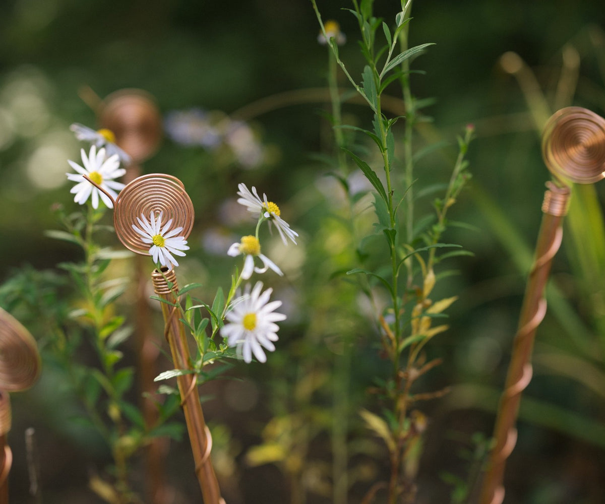 Can insects sense electricity? What bees, caterpillars, and ticks reveal