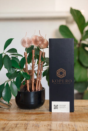 Kopero Electroculture 30 cm, with the black branded box, next to a houseplant