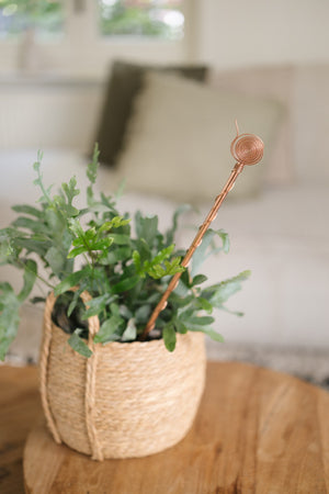 Kopero Electroculture 60 cm, in a wicker basket with a houseplant