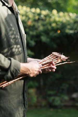 Kopero Electroculture, a bunch of copper antennas in two hands in the garden